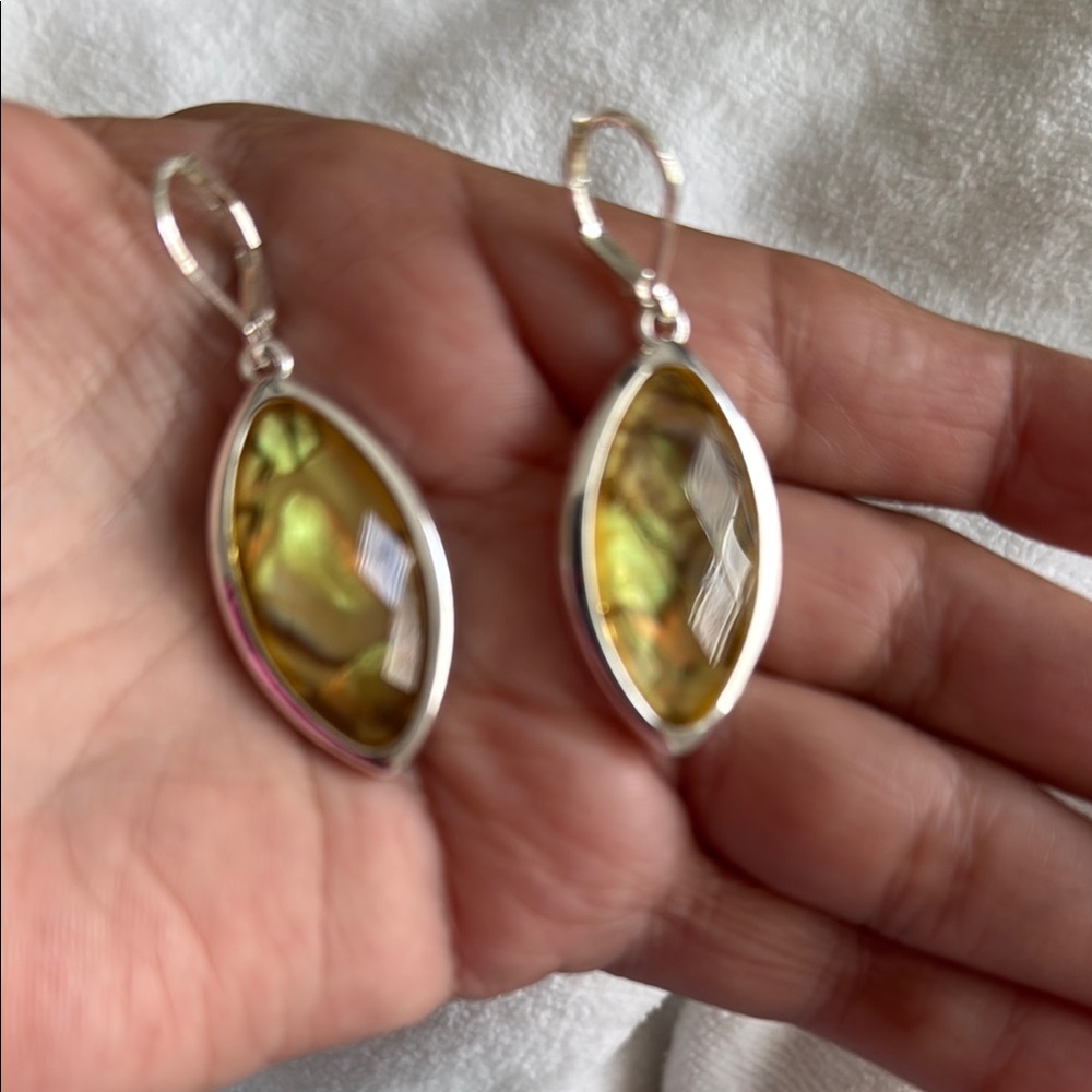 Silver and Gold-Toned Earrings